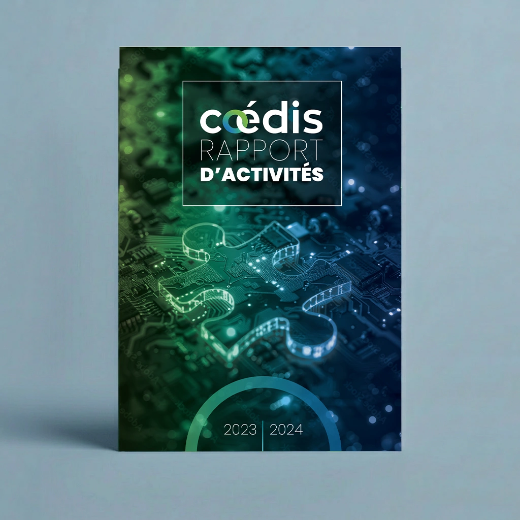 Rapport d'activité Codeis